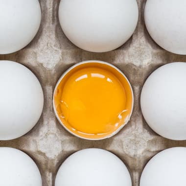 تخم دو زرده پروتئین‌ها؛ از خواص تخم‌ مرغ بیشتر بدانید