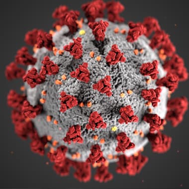 رد باورهای غلط در مورد ویروس کرونا